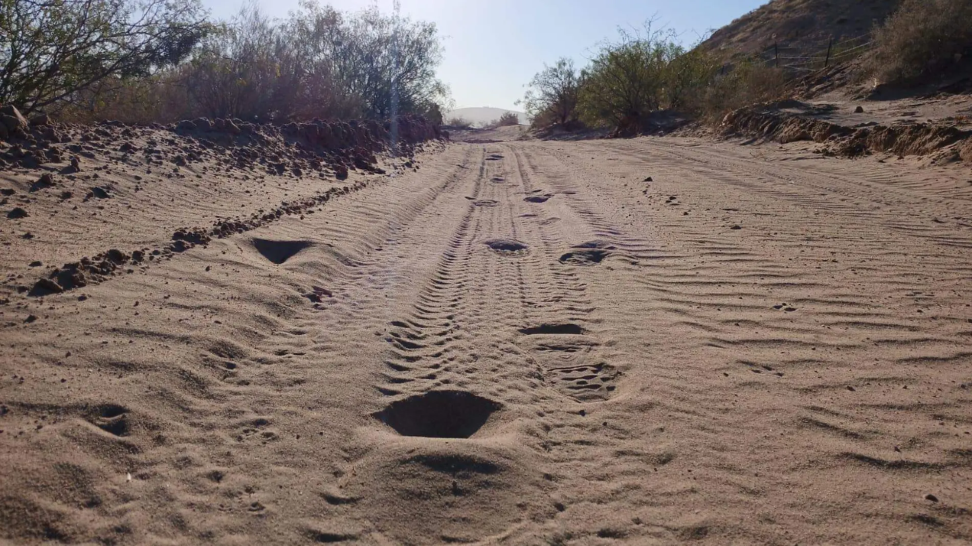 desierto en Texas (11)